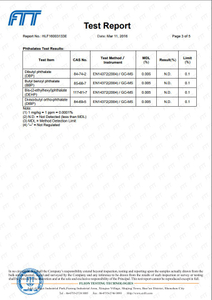 TEST-REPORT.2