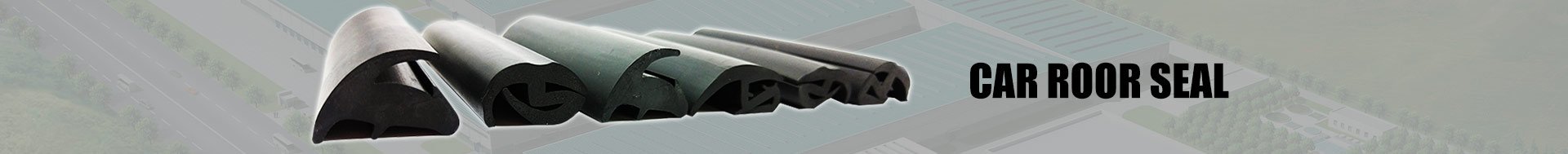 Car-roor-seal